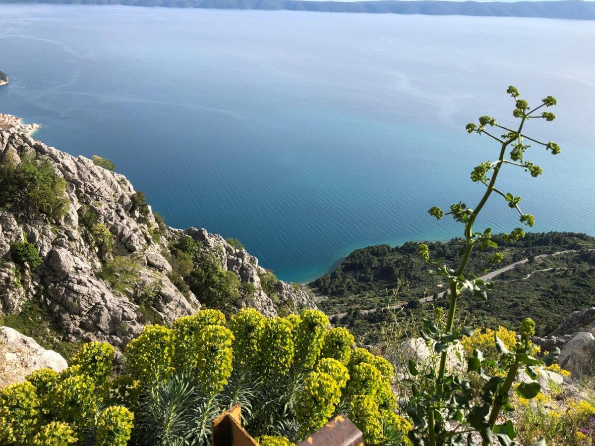 Apartments Drago Makarska Dış mekan fotoğraf