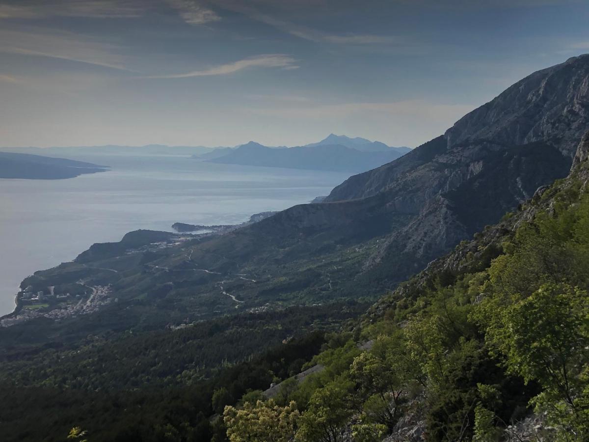 Apartments Drago Makarska Dış mekan fotoğraf